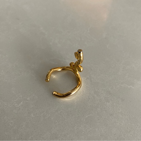 Jill Hopkins Jewelry CURVEZ STICK RING - Picture 4 of 6